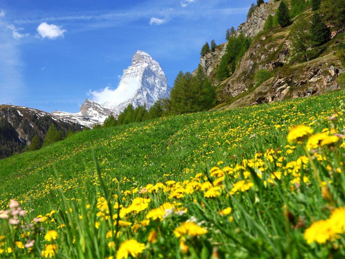 Apartment Silence-1 By Interhome Zermatt Buitenkant foto